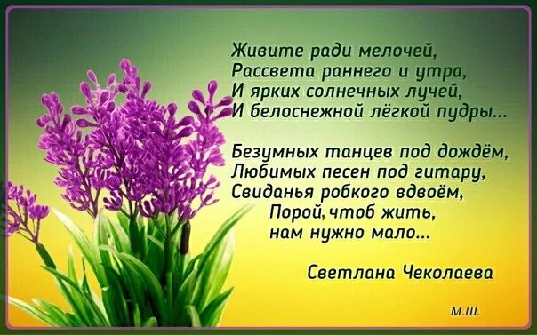 Произведение просто жить. Жить ради мелочей. Живите проще ради мелочей. Жить просто жить. А жить нужно ради мелочей.