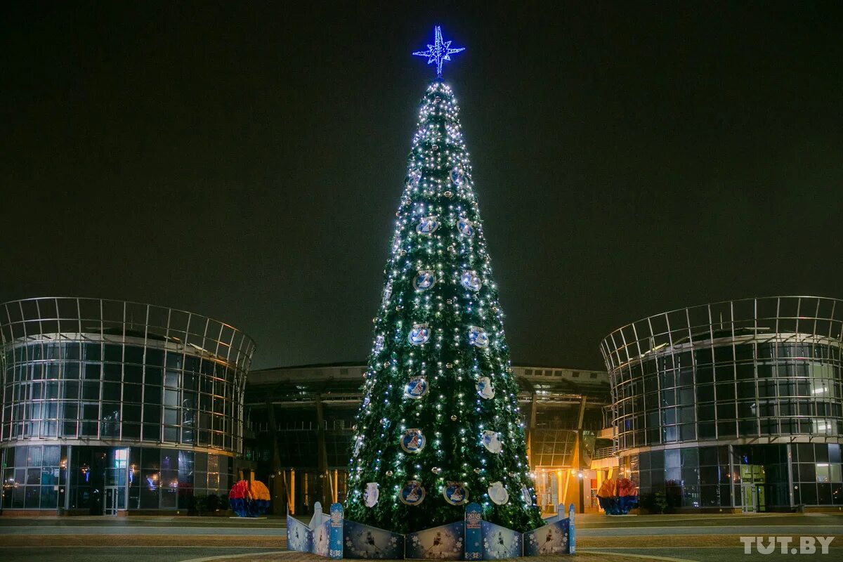 Новогодняя елка в белоруссии. Главная елка октябрьский. Елка площадь независимости минск. Новогодняя елка в белоруссии. Елка минск.