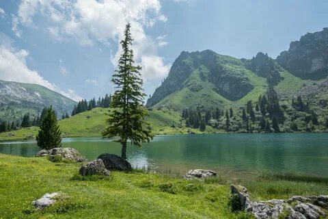 Швейцария казахстан