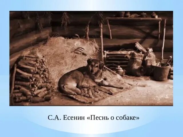 Стихотворение песня о собаке. Песнь о собаке Есенина. "Песнь о собаке" Сергея Есенина.. Песнь о собаке Есенин иллюстрации. Есенин про собаку.