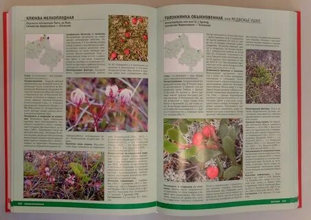 Животные красной книги москвы и московской