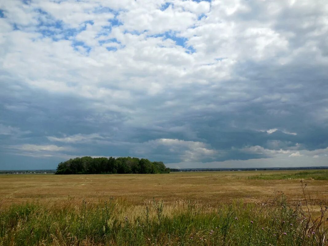 волжский простор тольятти. река волга просторы самары. простор самара. самарские просторы фото. большие просторы самара.