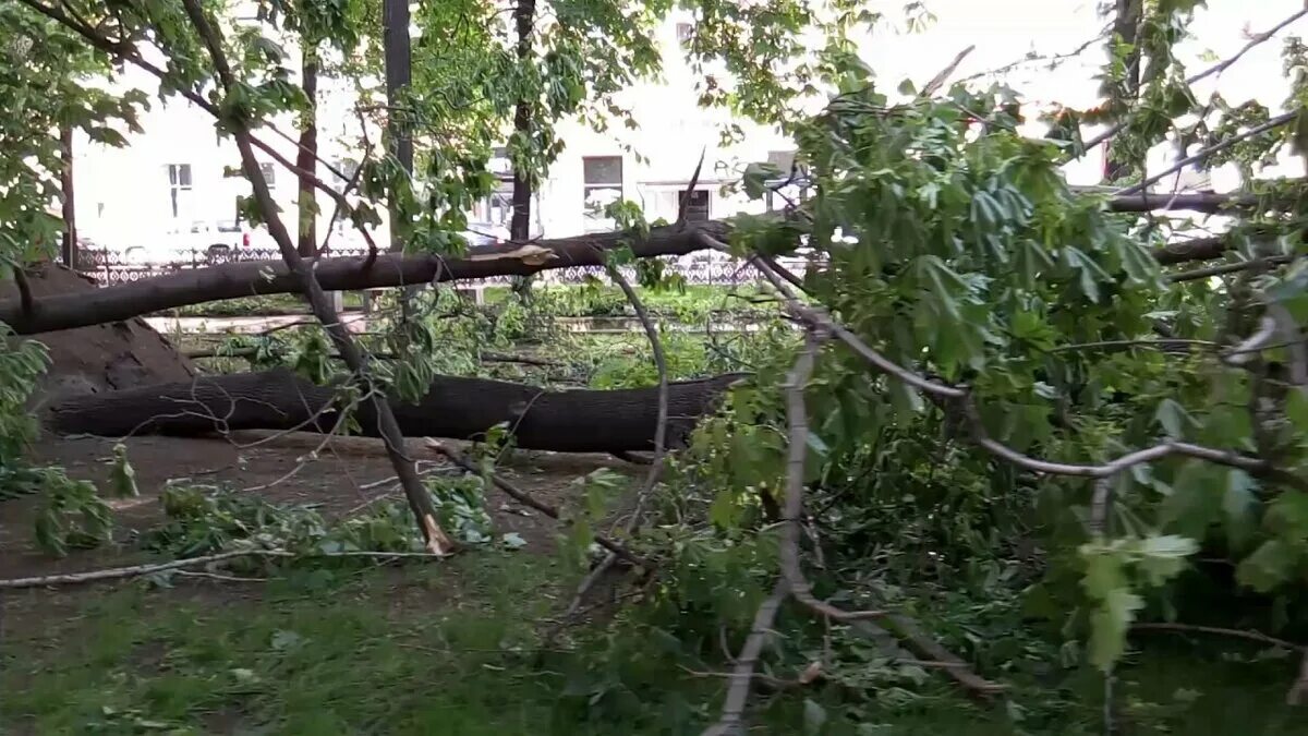 Москва ураган новости сейчас. Ураган май 2017 Москва. Ураган в Москве 29 мая 2017 года. Ураган в Москве 2001. Москва август 2017 ураган.