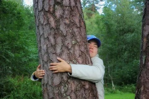 Деревья чувствуют