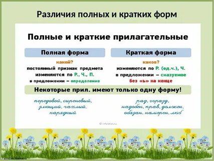 Какого начальная форма имени прилагательного