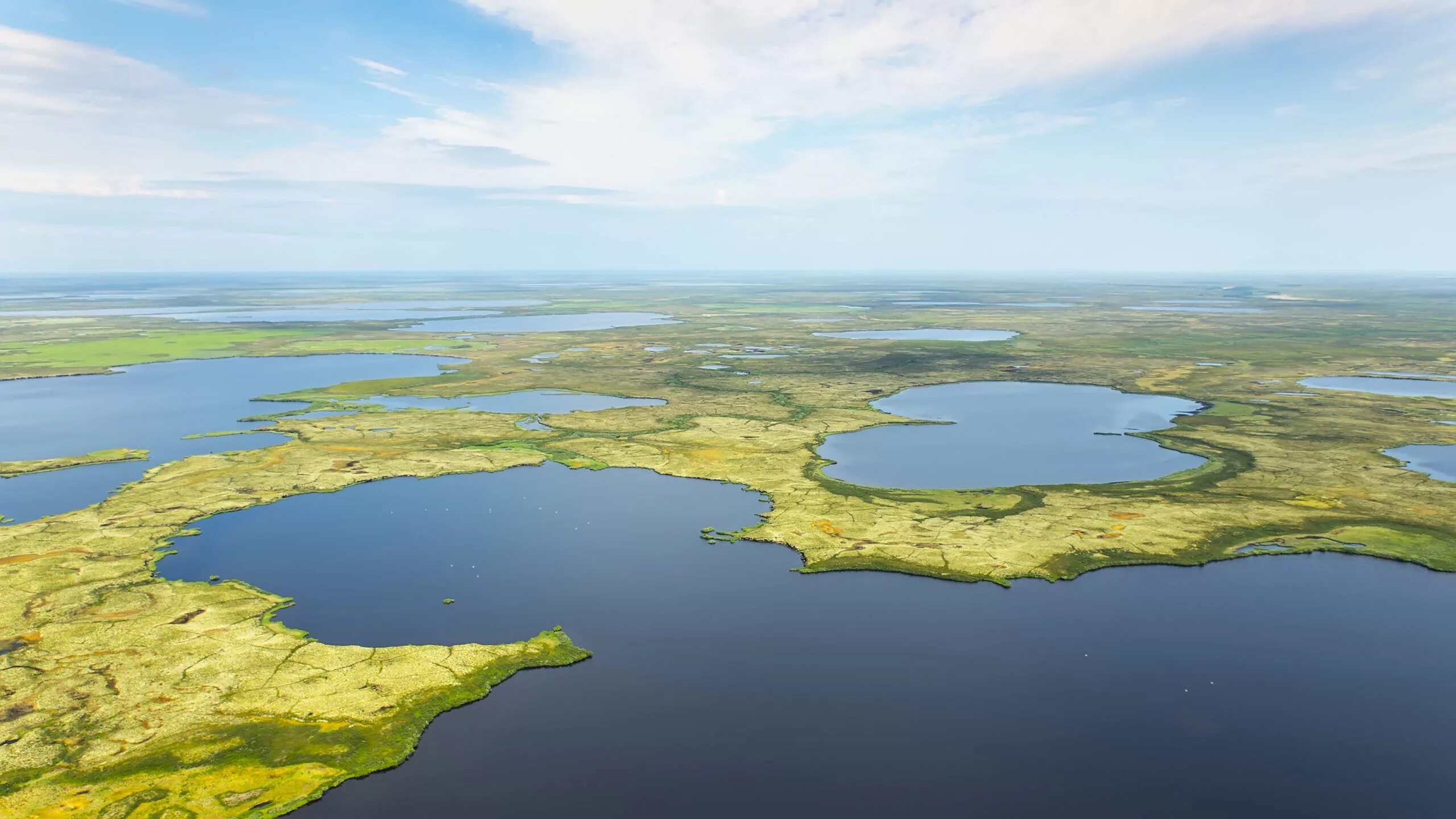 Западно Сибирская равнина Васюганское болото. Васюганское болото заповедник. Озера на Васюганских болотах. Васюганское болото Томской области.
