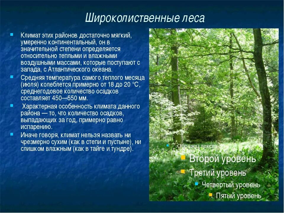 Растения природной зоны смешанные и широколиственные леса. Климат смешанных и широколиственных лесов. Широколиственные леса зона характеристика. Широколиственные леса климат.