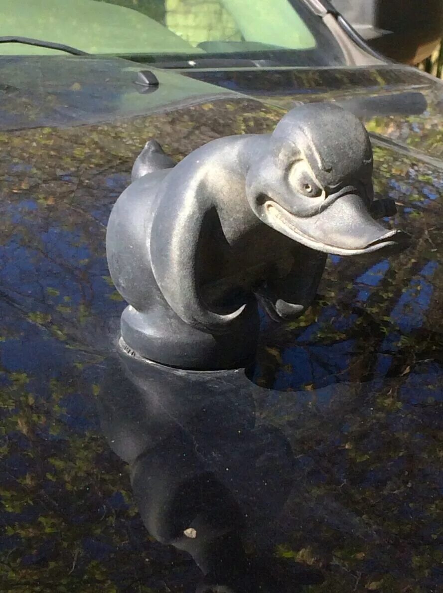 Чёрный утёнок на капот. Утенок мопар. Злой утенок. Черная утка на капот. Утка логотип.