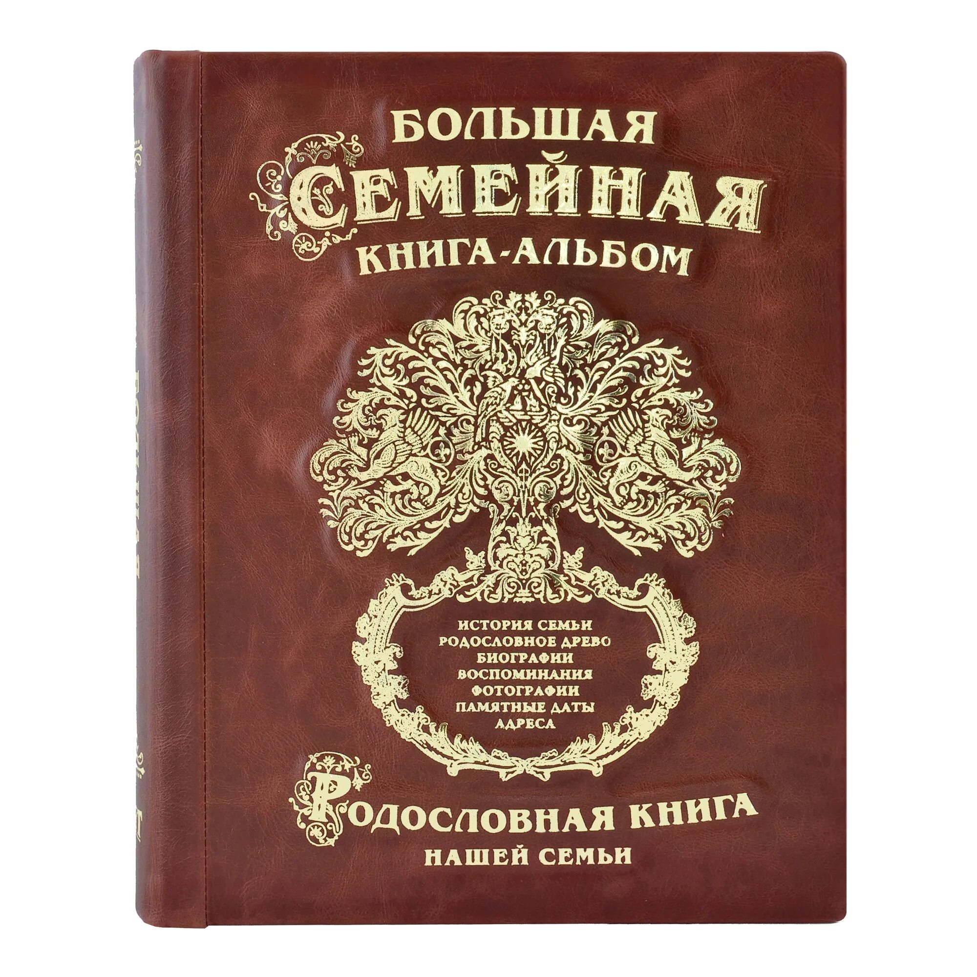 Книга семьи 7. Большая семейная книга альбом родословное Древо. Большая семейная книга альбом родословная книга. Большая семейная книга-альбом. Обложка для родословной книги.