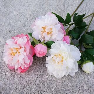 i?id=4d68ba4d0c752a92f6530595e80d8efc3fde2c90-9390856-images-thumbs&n=13