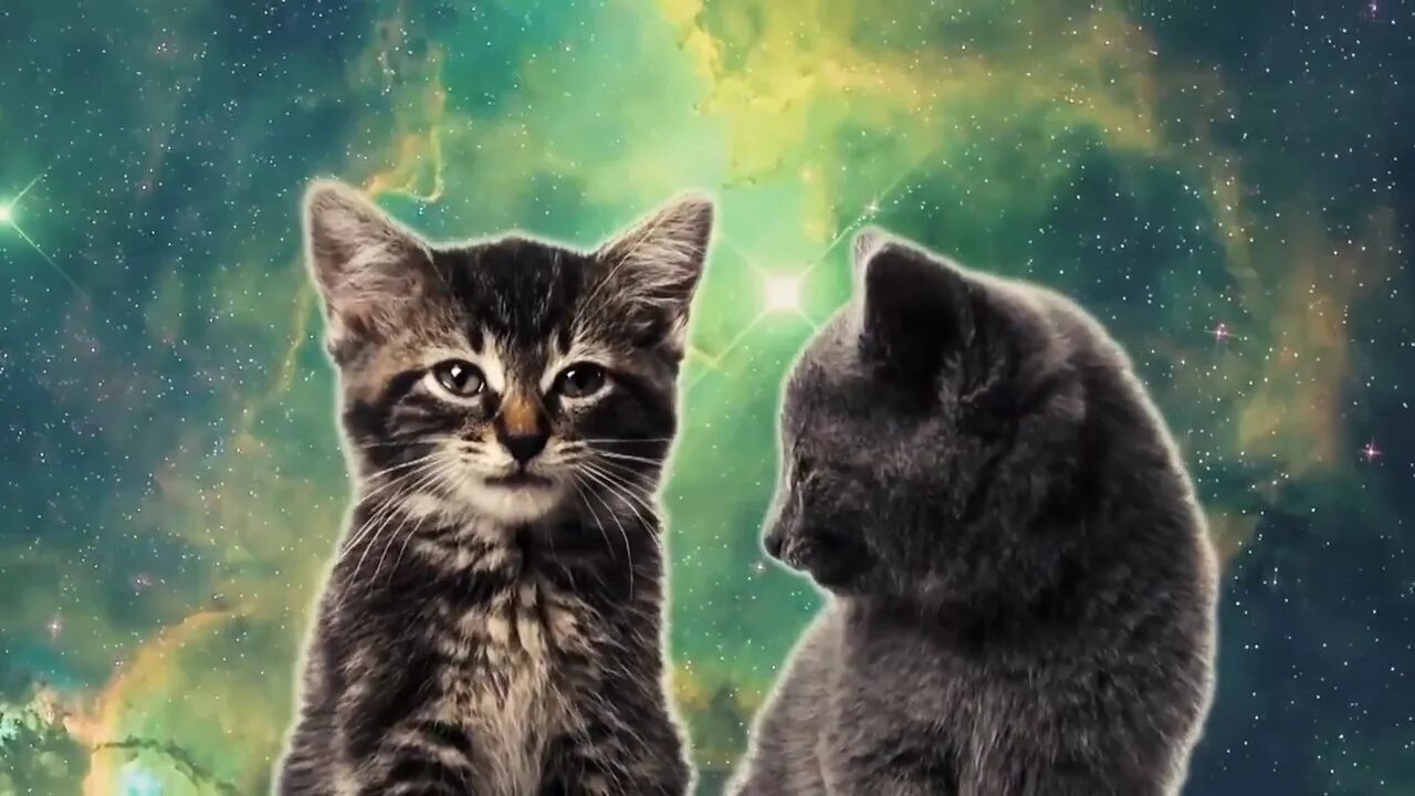 Музыка космический кот. Песня про кошку. Синтезатор в космосе. Игра кошка и котята ноты. Кошачья песня.