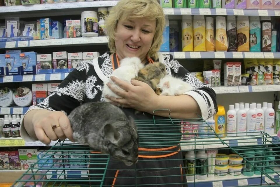 Работа в магазине животных. Зоомагазин товары. Магазин товаров для животных. Зоомагазин. Продавец корма для животных.