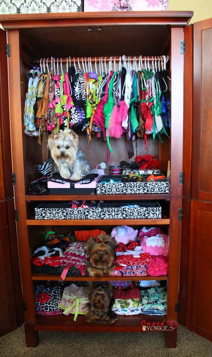 Pet Dog Hooded Printing Little Lion Sweater Casual Puppy Warm Clothes купить нед