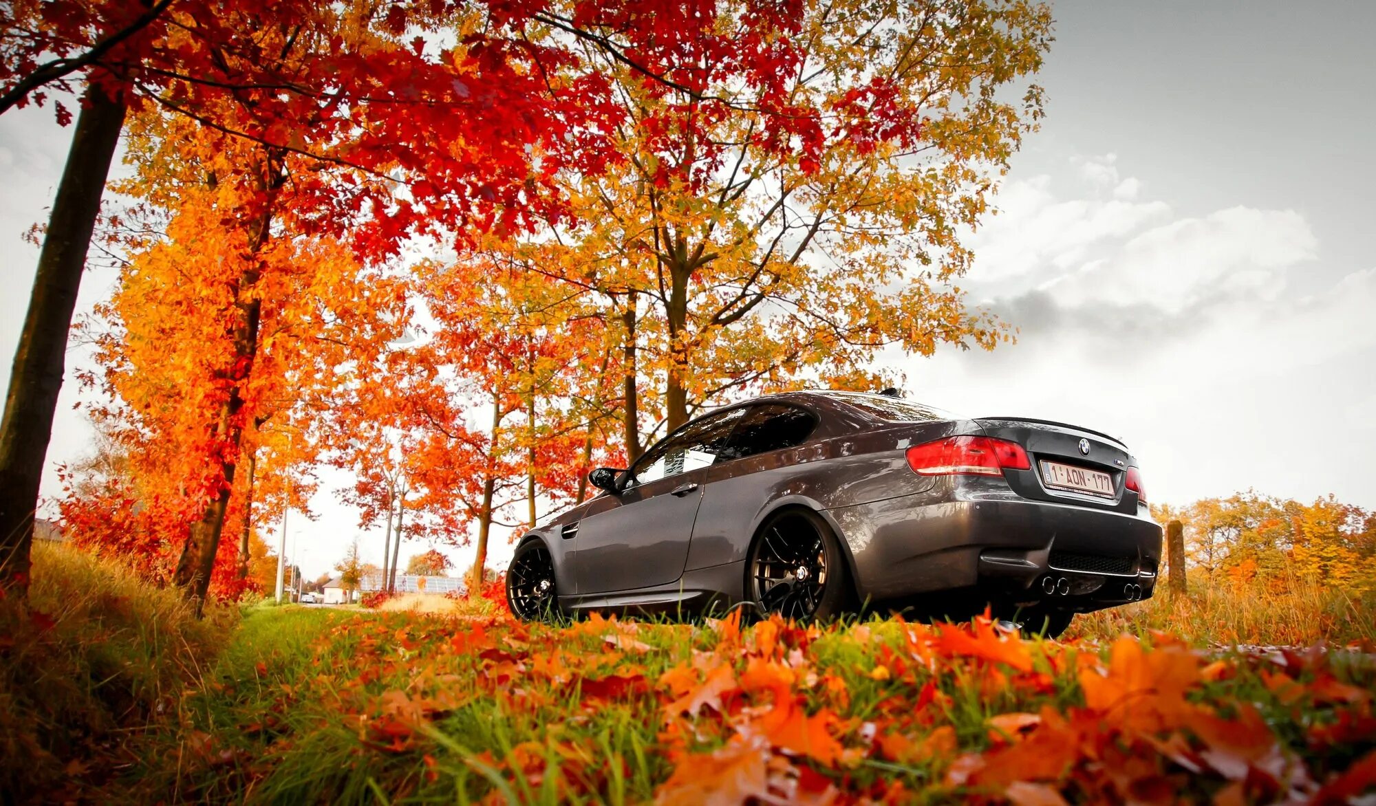 Avto c. BMW f30 осень. BMW 320i осень. Машина осенью. Машина в осенней листве.
