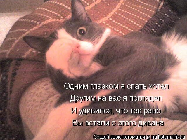 Страшные тоже хотят. Страшные тоже хотят. Страшные тоже хотят. Еврейские анекдоты. Приколы про стоматологов.
