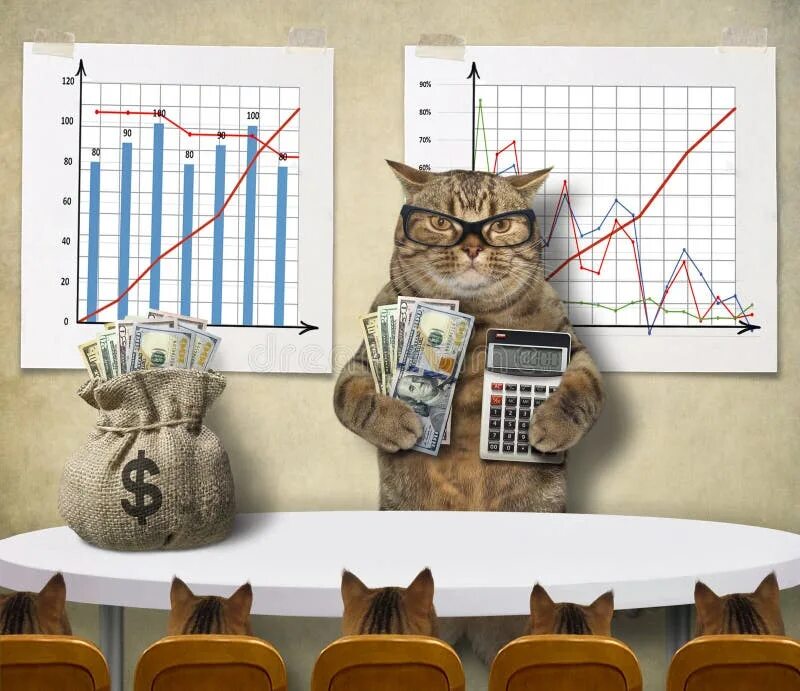 Богатый кот. Денежный котик. Cats start earning. Кот играет. Кот экономист.