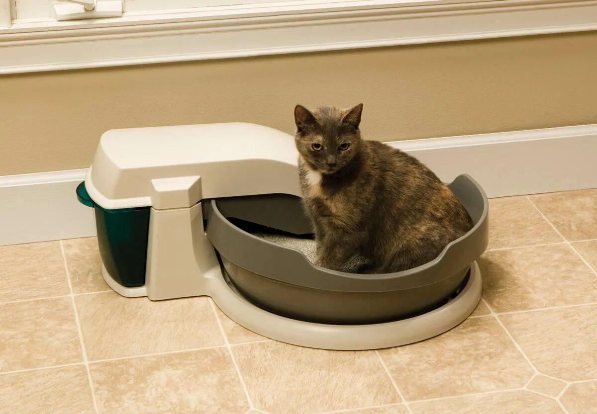 Какой лоток для котенка. Туалет-лоток для кошек savic aseo 56х39х27.5 см. лоток petsafe scoopfree ultra. сенсорный автоматический туалет для кошек kopfgescheit. cclean cat лоток.