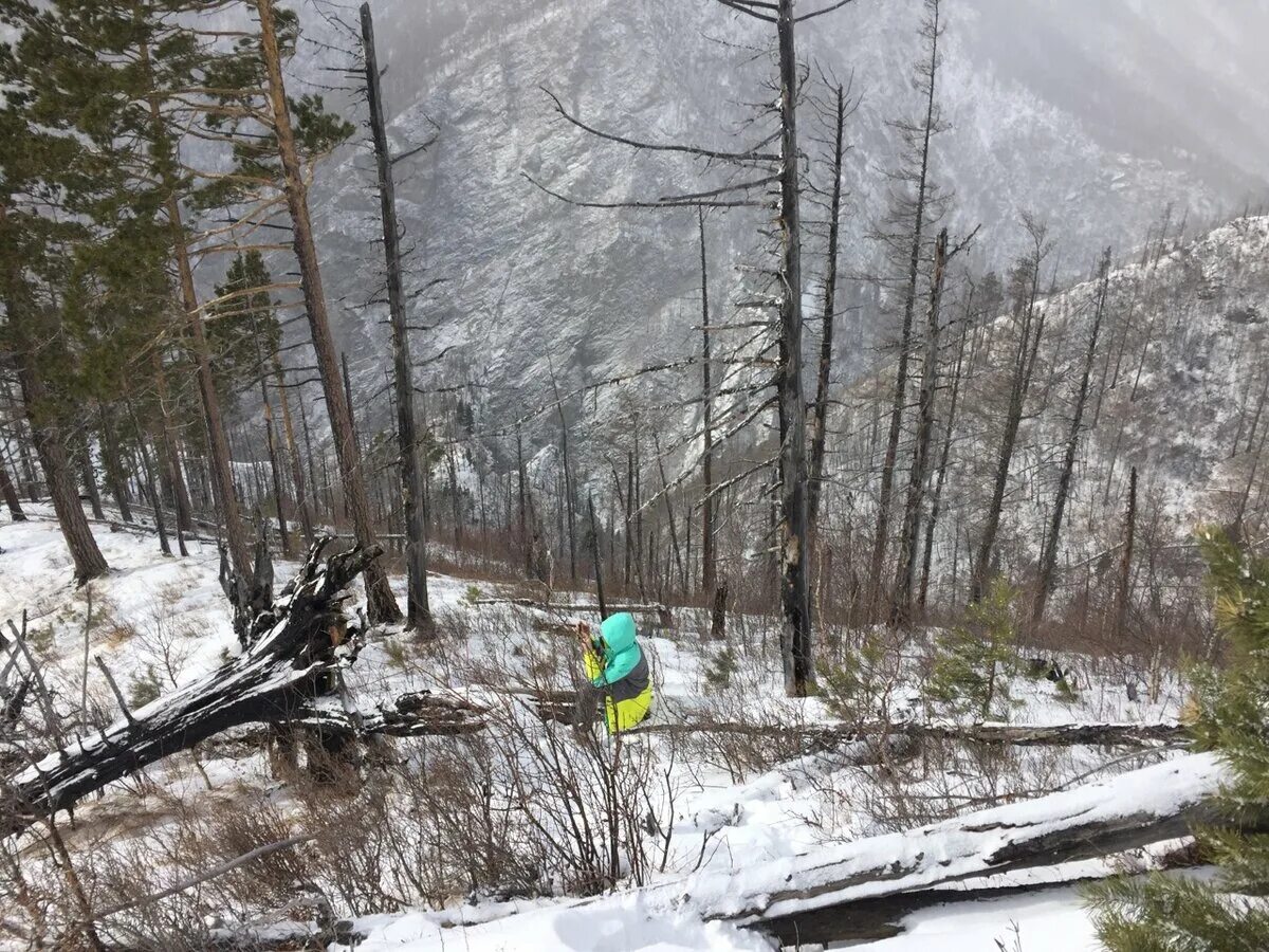 Пик галина тункинская долина. Аршан зимой. Аршан зимой куда сходить. Аршан сибирская швейцария. Аршан.