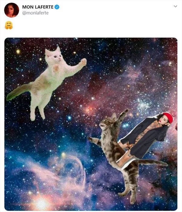 Кошка полетевшая в космос. Космический кот. Кот в космосе. Кот летает в космосе. Летающие коты.