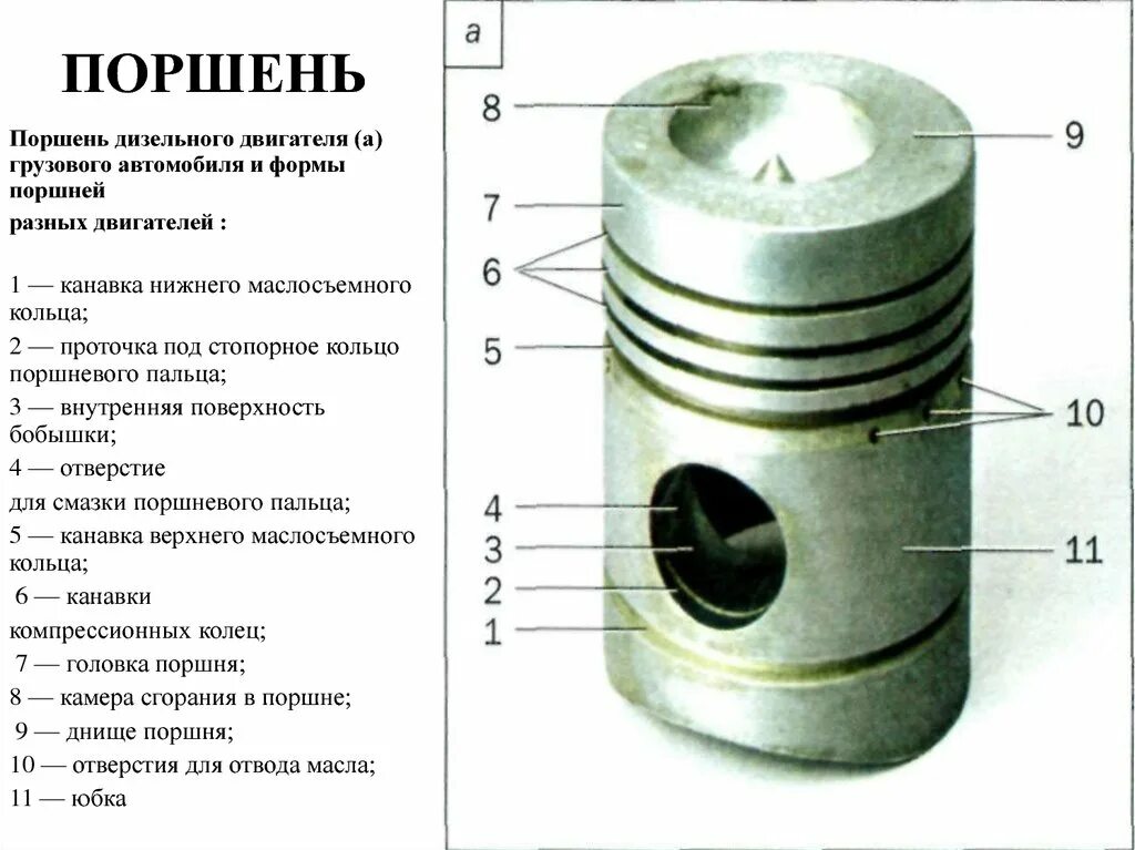 Тронк. Камера сгорания в поршне ЯМЗ 240. Поршень ДВС схема. Конструкция поршня двигателя дизель. Маслосъемное кольцо поршня ЯМЗ 650.