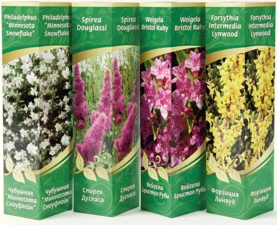 каталог посадочного материала. магазин семян и саженцев. садовая фирма виктория магнитогорск. агро 24 саженцы интернет магазин каталог. семена-почтой интернет магазин.