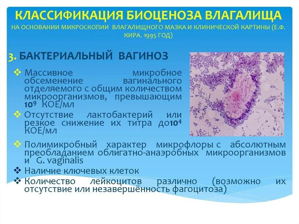 Микробная микрофлора