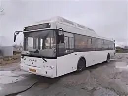 Маршрут 477. Автобус 477.