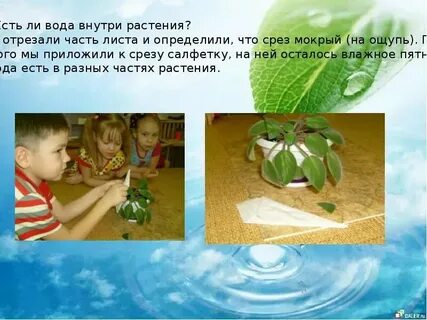 Как правильно принять цветы