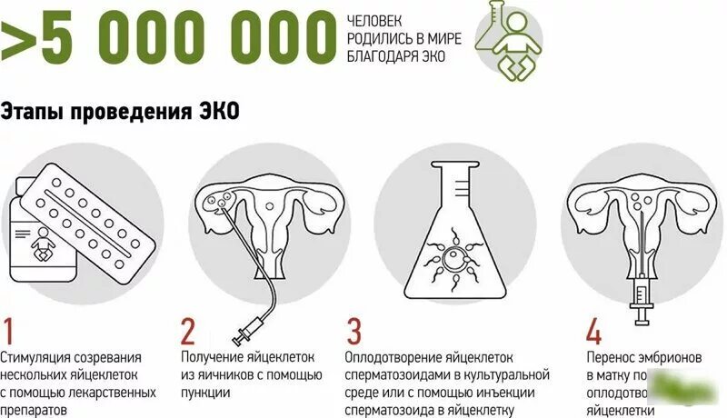 Продать яйцеклетку