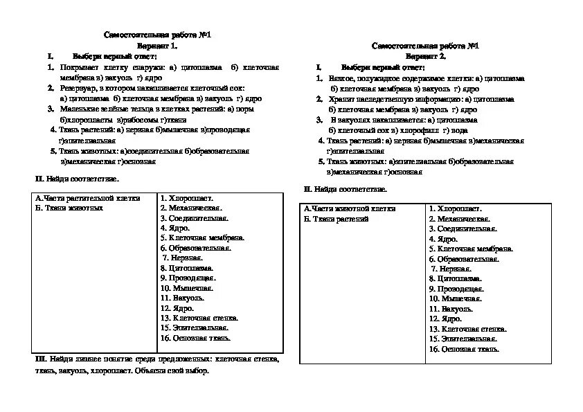 Строение клеток тест с ответами