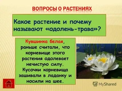 Почему букет