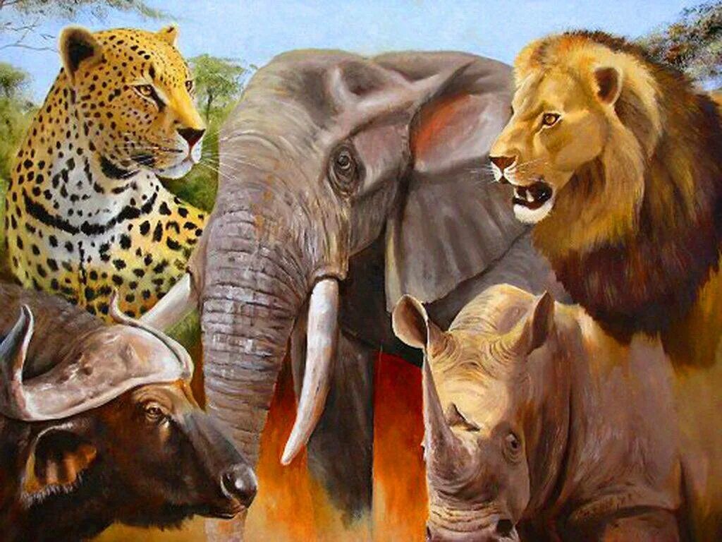Большая пятерка Африки сафари. Большая пятерка Африки сафари охота. Слон буйвол носорог Лев леопард. Большая пятерка животных Африки.