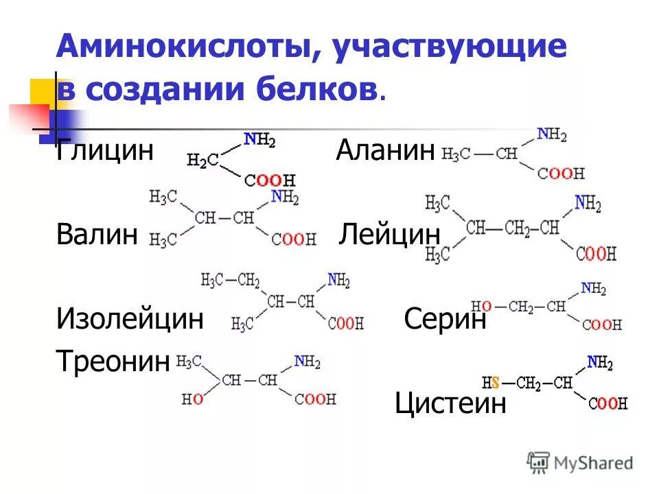 Аланин что это такое для чего. Глицин изолейцин валин. аминокислоты глицин аланин валин.