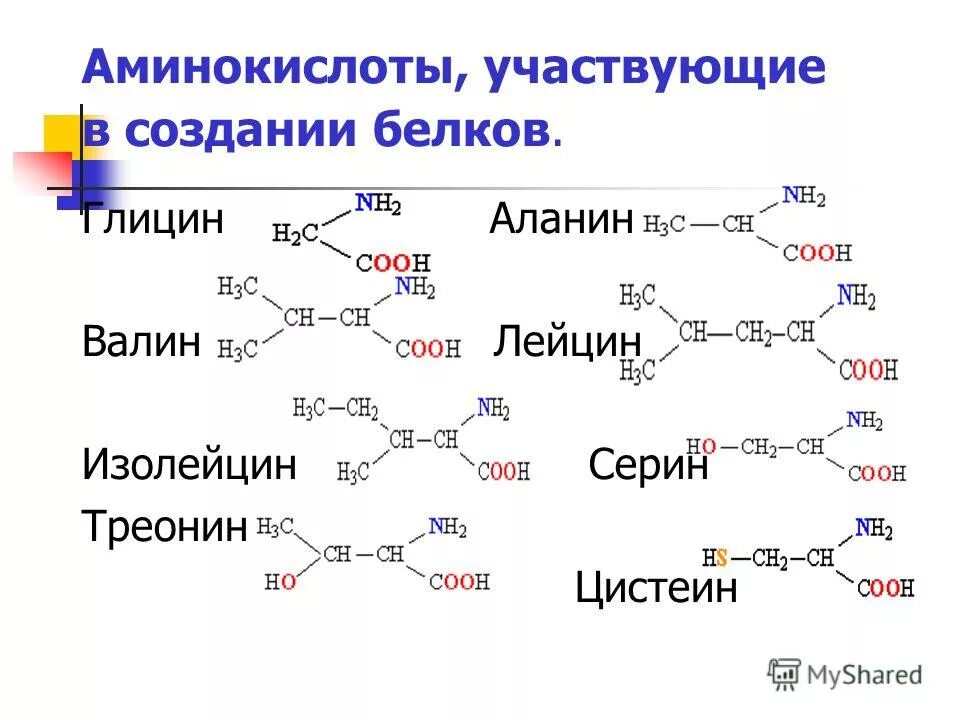 Аминокислоты глицин аланин валин