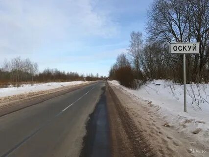 Погода оскуй