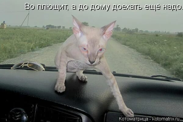 пожелания в дорогу. добрался до дома.