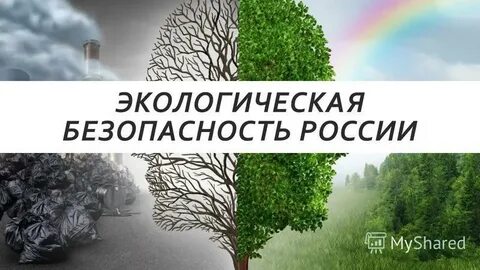 Практическая экологическая безопасность