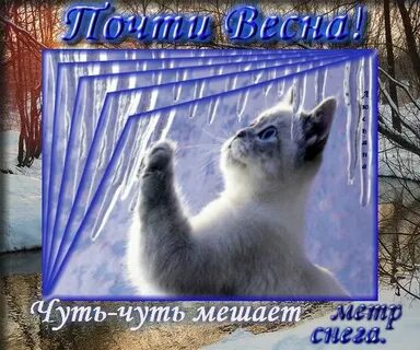 Чуть чуть снега