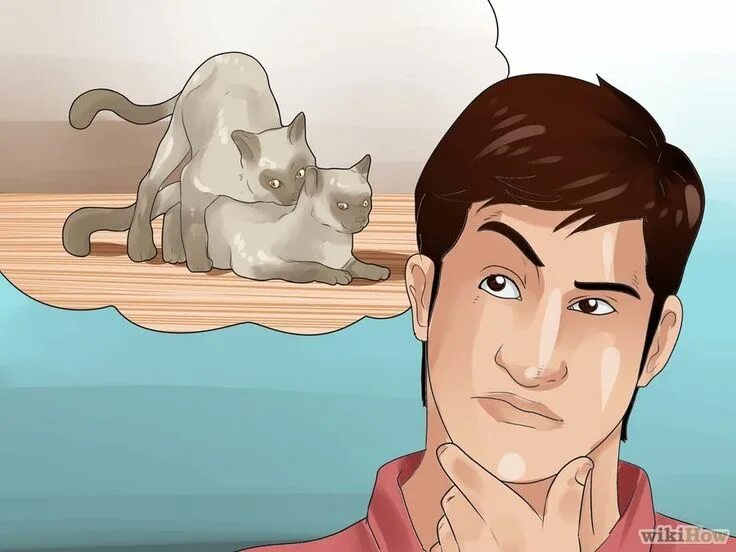 In heat secrets. Викихау мемы. WIKIHOW мемы. Картинки WIKIHOW. Вики хау.
