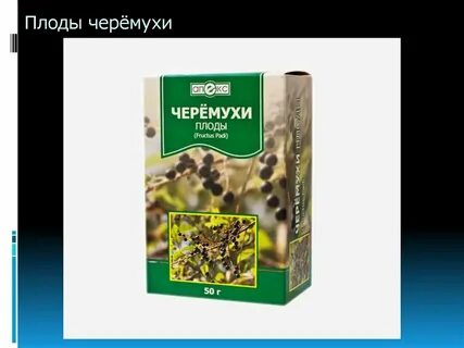 Плоды черемухи применение