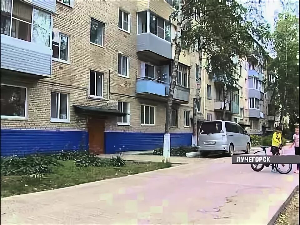 Медвежонок вернулся. Медведь самка. Медведь в карелии. Медведь в лучегорске новости. 3-12 лучегорск.