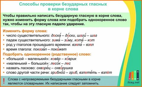 Как правильно пишется слово сердцевина