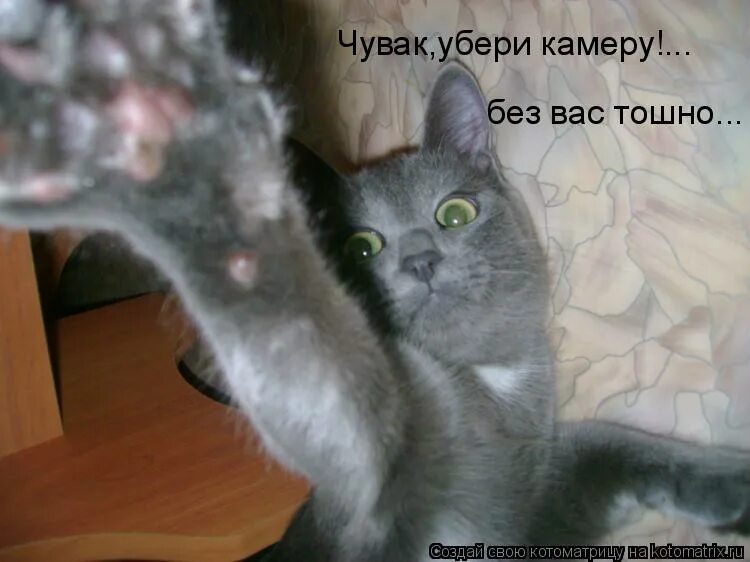 улыбнись солнышко. смешные картинки чтобы не грустить. не грусти смешные картинки. улыбайся чаще. улыбнись картинки с надписями.