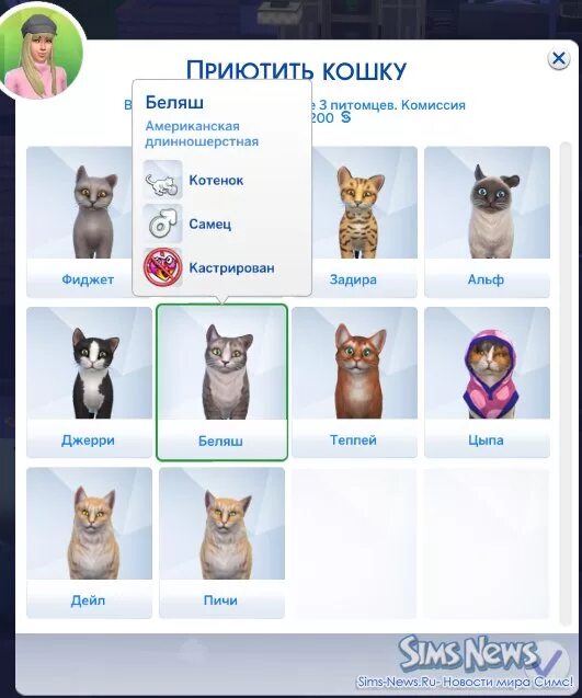 Какие домашние животные добавлены в личном кабинете. Имена питомцев в симс 4. Симс 4 домашние животные. Приют симс 4. Как завести питомца в симс 4.
