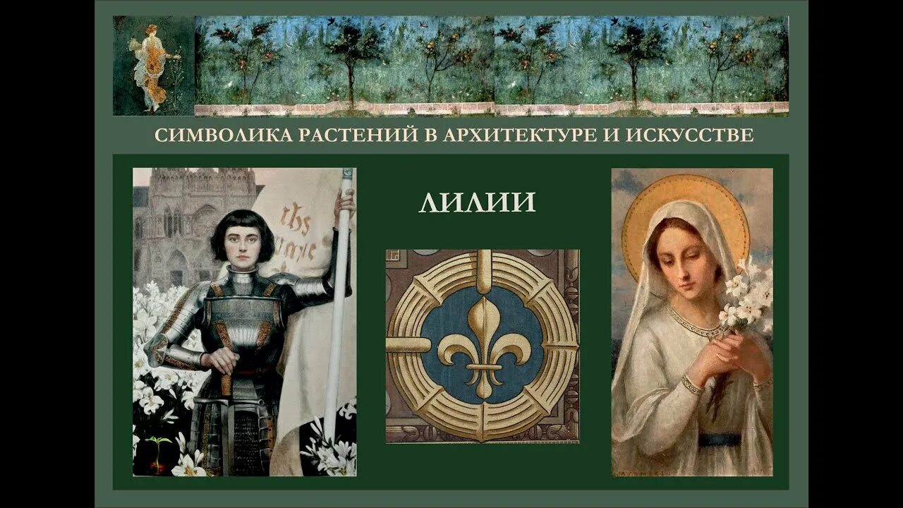 Символ лилия значение. Лилия, которой клеймили. клеймо лилия. лилия история 17 век канада.