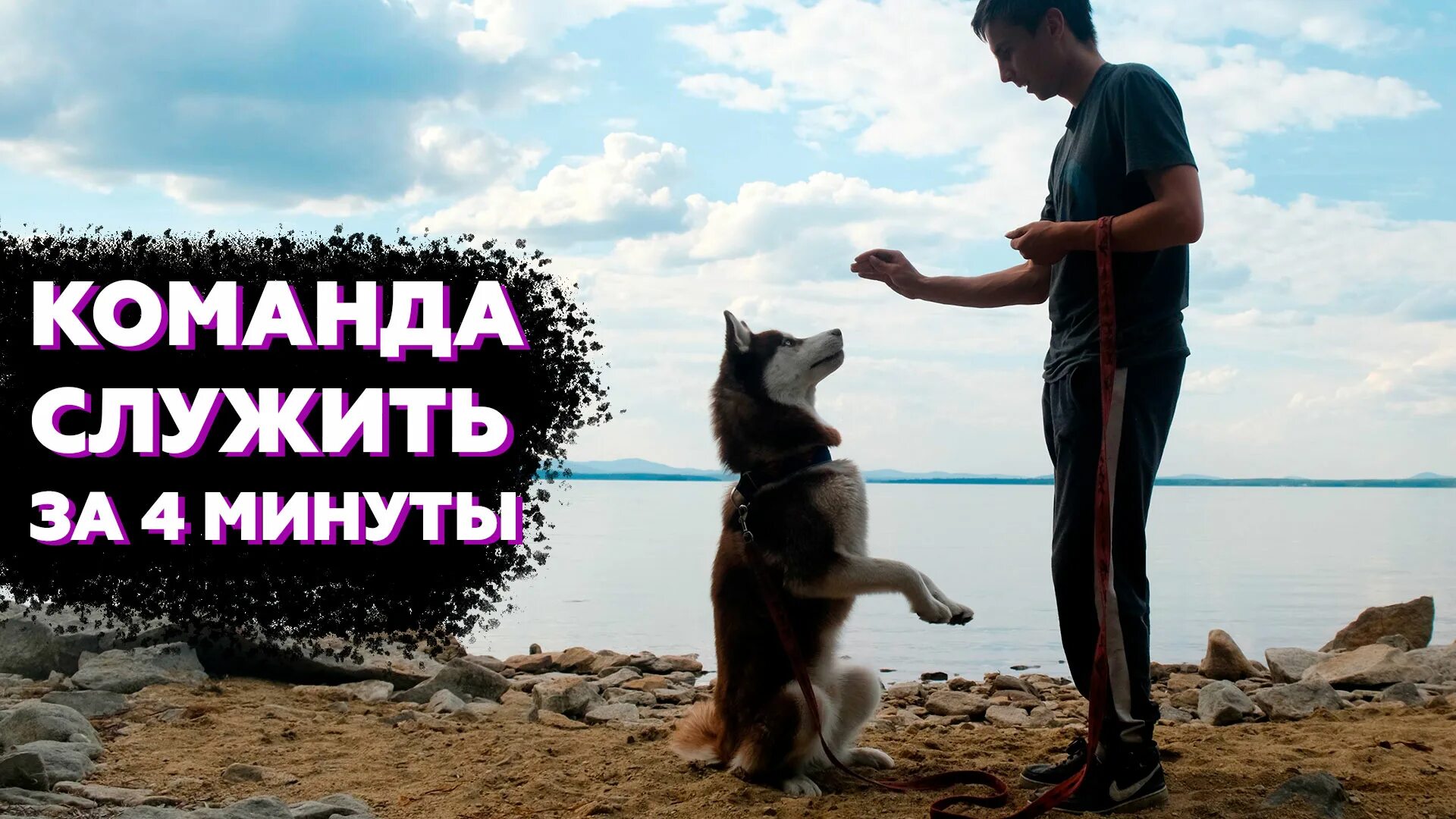 Как обучить команду сидеть