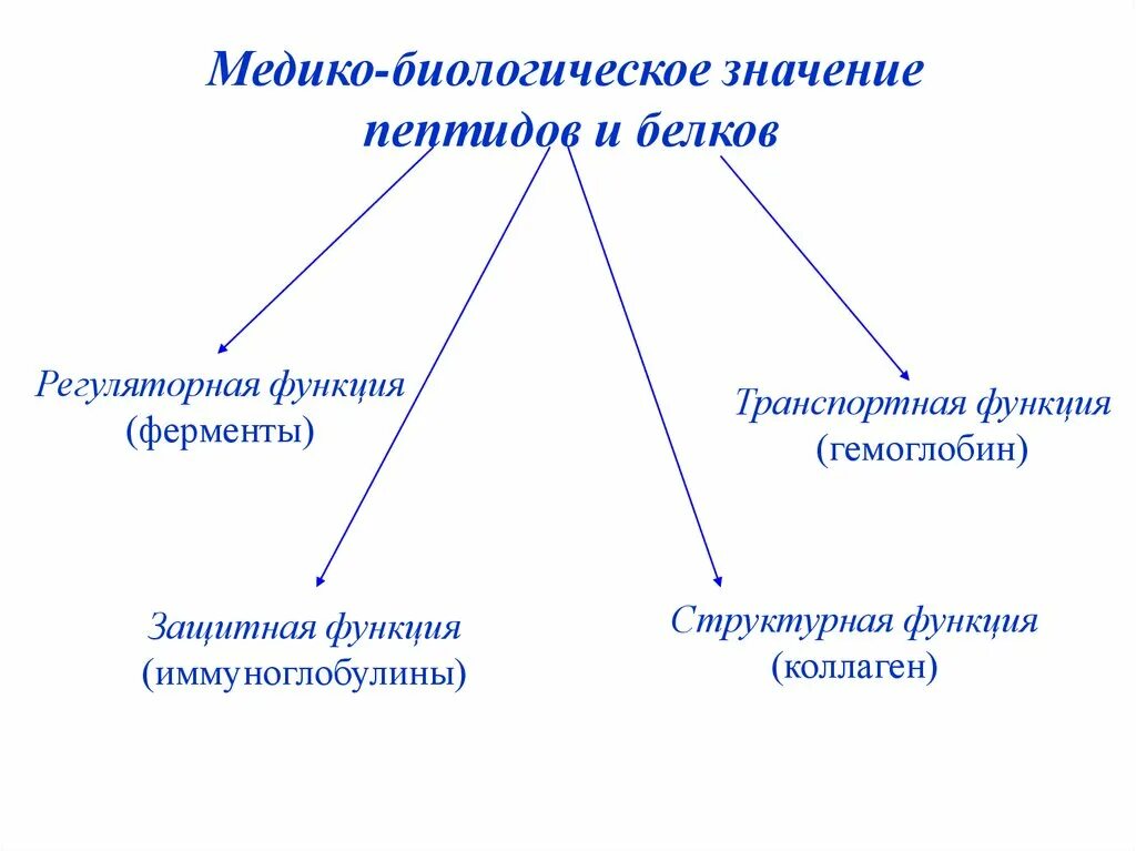 Функция структурная транспортная. Биологическое значение пептидов. Регуляторные пептиды. Биологические функции пептидов. Функции регуляторных пептидов.