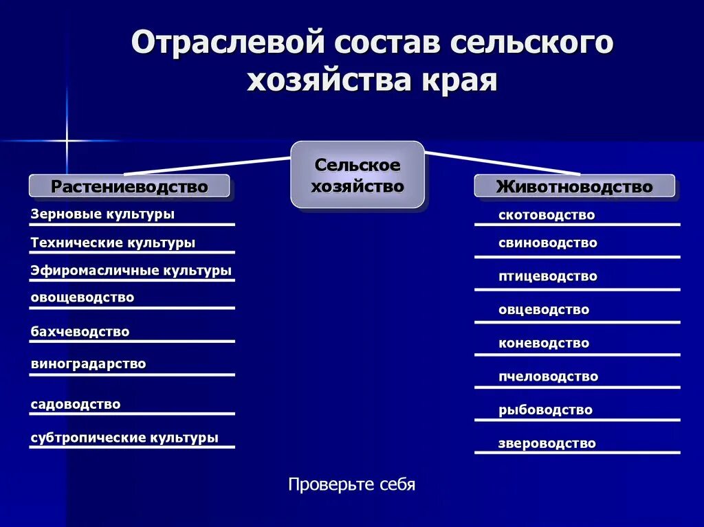 К сельскохозяйственным организациям относятся. Отрасли сельского хозяйства. Отрасли сельского хозяйства России. Отраслевой состав сельского хозяйства. Отрасли сельского хозяйства схема.