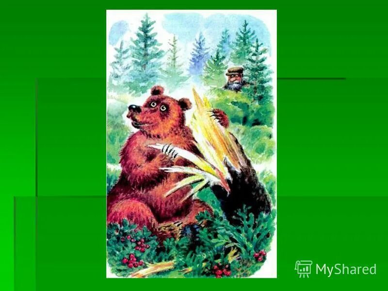 урок литературного чтения в бианки музыкант