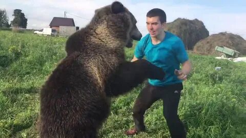 Где живет вася